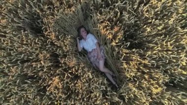 Aerial top view woman lies among a wheat field at sunset. Drone flies over agricultural wheat field during sunrise. Drone shot beautiful summer nature of a wheat field