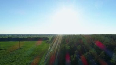 Yaz günbatımında hava manzarası ya da orman ve mısır tarlası yakınlarında gün doğumu. Güneşli bir günde yeşil ağaçların üzerinde uçan bir dron. Drone çekim güneşi, doğa ve güzel manzara