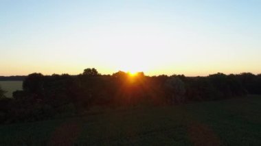 Hava manzaralı güzel yaz günbatımı ya da gün doğumu. Hava aracı güneşli bir günde mısır tarlasında uçuyor. İnsansız hava aracı ormanı ve doğayı vurdu.