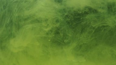 Sarı mürekkep akrilik boya suda karışıyor, suyun altında yavaşça dönüyor. Akvaryumdaki renkli sitrik akrilik boya bulutu. Yavaş çekim soyut duman patlaması animasyonu. Güzel sanat arka planı