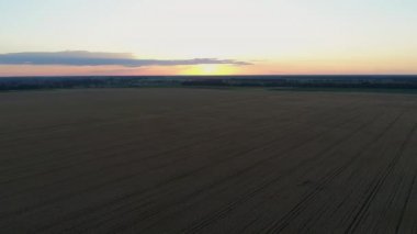 Gün batımında bir buğday tarlasının üzerindeki hava manzarası. Drone güneş doğarken tarımsal buğday tarlası üzerinde uçar. Drone, buğday tarlası, güneş ve gökyüzünün güzel yaz manzarasını çekti.