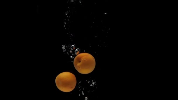 黒の背景に透明な水に落ちる遅い動きアプリコット 水族館で新鮮な果物が飛び散る — ストック動画