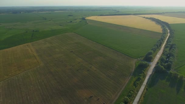 Drone Szeroko Strzał Stóg Siana Zbioru Suchej Trawy Dla Rolnictwa — Wideo stockowe