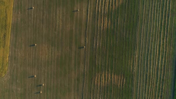 夏天日落时 空中俯瞰农田里的干草堆 无人机射中了草堆 收获了干草用于农业 飞过几包干草 农民们收割庄稼的季节 — 图库视频影像