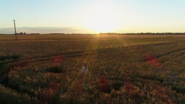 Letecká Žena Stojící Při Západu Slunce Poli Pšenice Dron Přeletí — Stock video