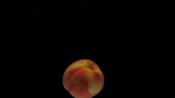 Slow Motion One Peaches Falling Transparent Water Black Background Fresh — Video Stock