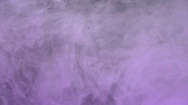 Pintura Acrílica Tinta Púrpura Cámara Lenta Mezclándose Agua Girando Suavemente — Vídeo de stock