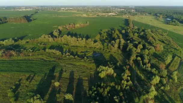 夏天阳光明媚的日子 空中的景色在森林和玉米地周围晒干了池塘 生态问题 自然污染 全球变暖问题 — 图库视频影像