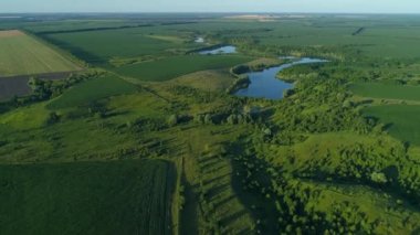 Yazın hava manzarası çok güzel. Güneşli bir günde hava aracı sahada uçuyor. İnsansız hava aracı doğayı, ormanı ve mısır tarlasını vurdu.