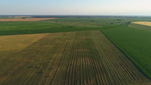 Luchtfoto Hooibalen Het Landbouwveld Zomer Bij Zonsondergang Drone Schoot Hooiberg — Stockvideo