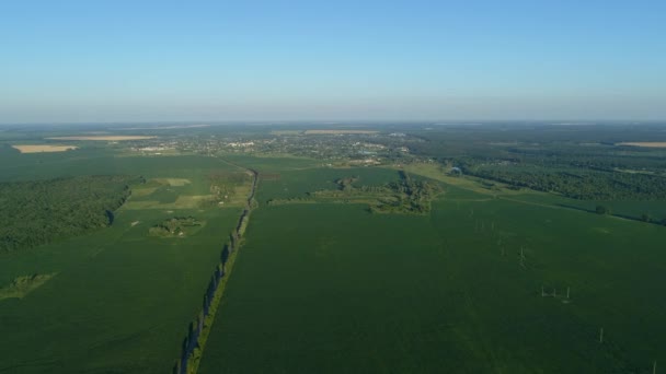 夏天空中观赏美丽的风景 无人机在玉米地上空飞行 无人机射中了自然和森林 — 图库视频影像