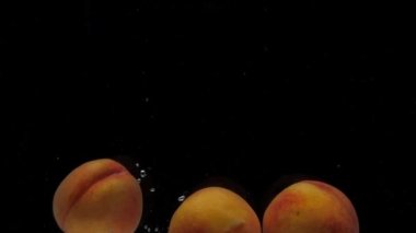 Ağır çekimde üç şeftali siyah arkaplanda şeffaf suya düşüyor. Akvaryuma taze meyve sıçraması. Sağlıklı yemek.