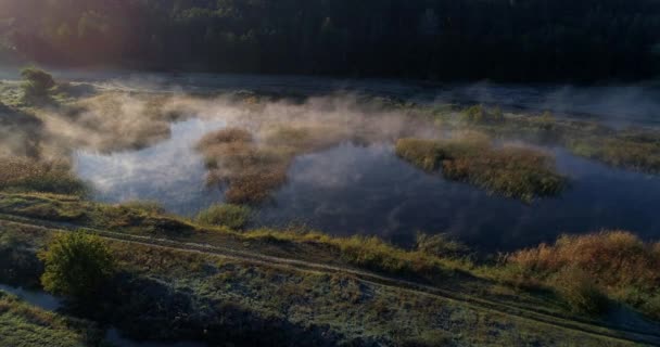 Drón Légi Kilátás Gyönyörű Borított Köd Közelében Erdő Napkeltekor — Stock videók