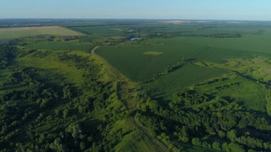 Yazın hava manzarası çok güzel. Güneşli bir günde hava aracı sahada uçuyor. İnsansız hava aracı doğayı, ormanı ve mısır tarlasını vurdu.