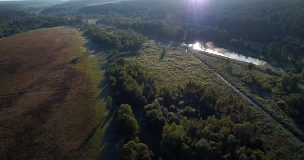 Drone Aerial View Trees Covered Fog Sunrise Forest — Stockvideo