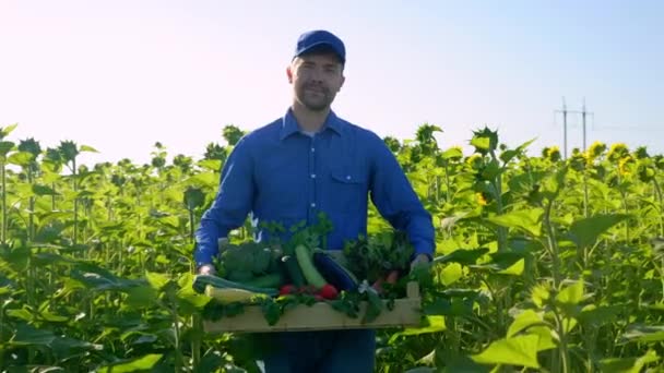 Petani Muda Tersenyum Memegang Kotak Kayu Dengan Sayuran Organik Berjalan — Stok Video