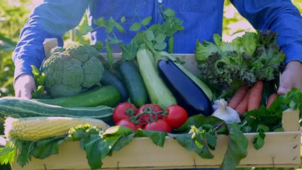 Close Farmer Businessman Holding Wooden Box Organic Vegetables Man Agriculturist — Αρχείο Βίντεο