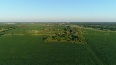 Yazın hava manzarası çok güzel. Güneşli bir günde mısır tarlasında uçan insansız hava aracı. Drone doğayı, ormanı ve köyü vurdu.