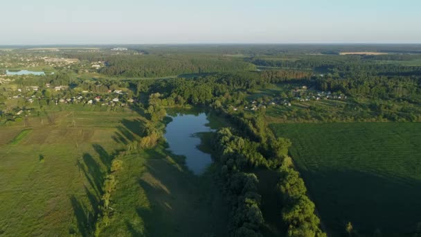 Vista Aérea Bela Paisagem Verão Drone Voando Sobre Campo Milho — Vídeo de Stock