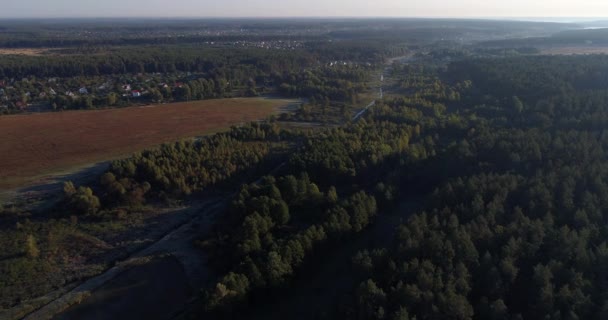 Drone Vista Aérea Bela Floresta Pela Manhã Nascer Sol Árvores — Vídeo de Stock