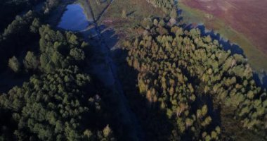Drone aerial view narrow river between the forest at sunrise
