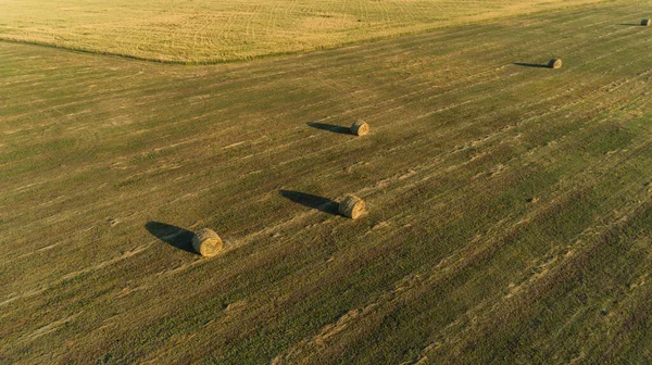 Vista Aérea Fardos Feno Campo Agrícola Verão Pôr Sol Drone — Fotografia de Stock