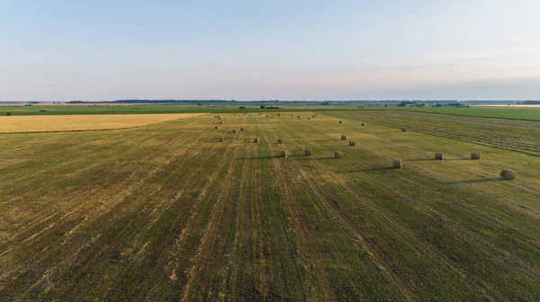 Aerial View Hay Bales Agricultural Field Summer Sunset Drone Shot — Stock Photo, Image