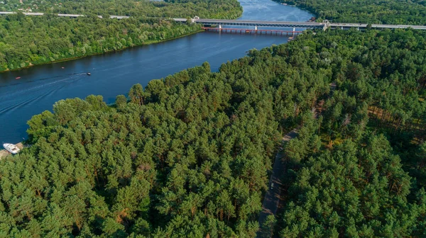 Aerial View Summer Forest River Sunny Day Drone Shot Beautiful — Fotografia de Stock