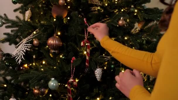 Arrière Vue Femme Décore Arbre Noël Avec Des Décorations Nouvel — Video