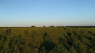 Aerial view mother and son are standing on a mountain cliff hugging. Drone wide shot beautiful summer nature, landscape