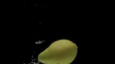 Slow motion one pear falling into transparent water on black background. Fresh fruit splashing in aquarium. Organic fruit, healthy food, diet, fructose, air bubbles