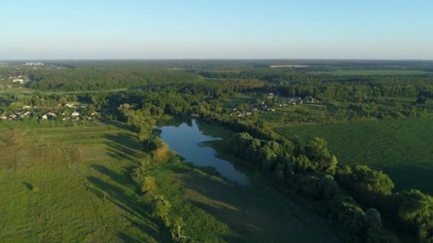 Légi Kilátás Gyönyörű Táj Nyáron Drón Repül Kukoricaföldön Napsütésben Drón — Stock videók