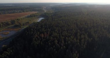 İnsansız hava aracı manzaralı güzel bir orman, güneş doğarken, ağaçlar...
