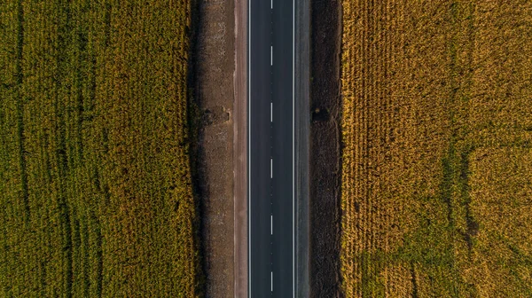 Drone Aerial Top View New Asphalt Road Field Wheat Corn — Fotografia de Stock
