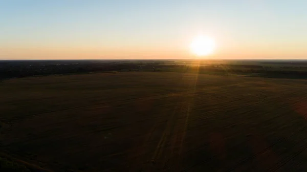 Flygfoto Över Ett Vetefält Solnedgången Drone Flyger Över Jordbruksvetefält Soluppgången — Stockfoto