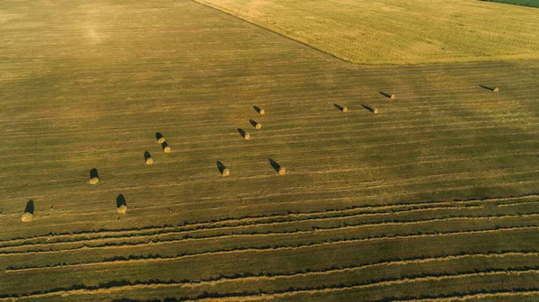 Vista Aérea Fardos Heno Campo Agrícola Verano Atardecer Drone Disparó — Foto de Stock