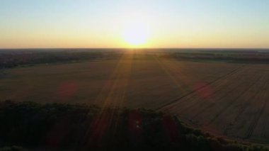 Gün batımında bir buğday tarlasının üzerindeki hava manzarası. Drone güneş doğarken tarımsal buğday tarlası üzerinde uçar. Drone, buğday tarlası, güneş ve gökyüzünün güzel yaz manzarasını çekti.