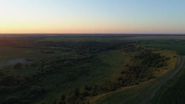 Aerial View Beautiful Landscape Sunset Sunrise Summer Drone Flying Field — Stok Video
