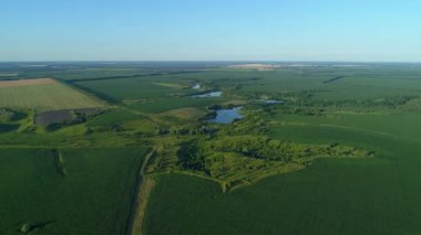Yazın hava manzarası çok güzel. Güneşli bir günde hava aracı sahada uçuyor. İnsansız hava aracı doğayı, ormanı ve mısır tarlasını vurdu.