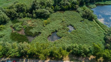 Drone aerial view marshy lake in the metropolis, summer nature in sunny day, green trees