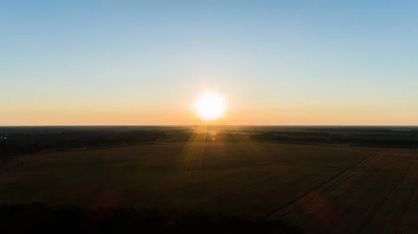 Luftaufnahme Über Einem Weizenfeld Bei Sonnenuntergang Drohne Fliegt Bei Sonnenaufgang — Stockfoto