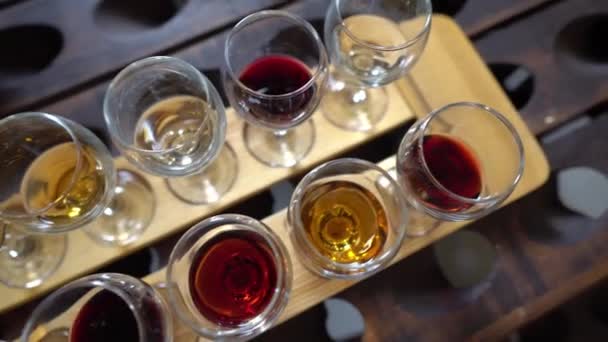 Ochutnávka vín. Ochutnávací tác s sklenicemi s různými druhy vína. Škála vín. Připravená degustační místnost vína ve vinném sklepě výrobce — Stock video