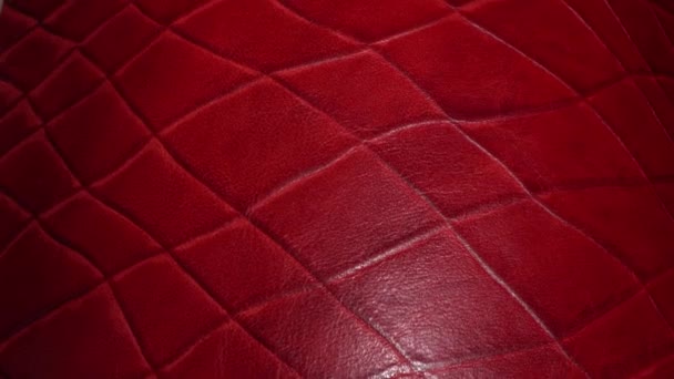 Prawdziwa czerwona skóra z bliska. Naturalny wzór. Przemysł odzieżowy i odzieżowy, obuwie, torba, pasek, płaszcz i inne akcesoria skórzane, Meble skórzane — Wideo stockowe