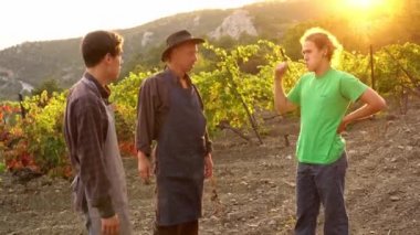 Şarap yapımı, şarap üretimi. Üzüm yetiştiricileri, yetişkin baba çiftçiler ve genç oğullar birlikte çalışıyorlar. Üzümlü eller. Üzüm yetiştiren küçük bir aile çiftliği. Hasat Mevsimi. Üzüm toplama