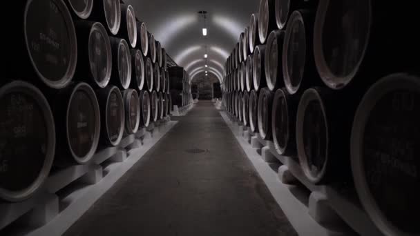Бочки на складі складені. Дерев'яне віскі, вино або пивні бочки сидять рядами в підвалі для зберігання. Виноробство, виробництво вина. — стокове відео