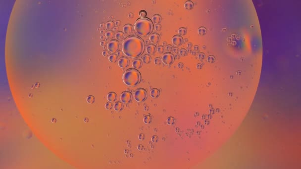 Burbujas Aceite Macro Agua Producto Cosmético Gradiente Naranja Amarillo Púrpura — Vídeo de stock