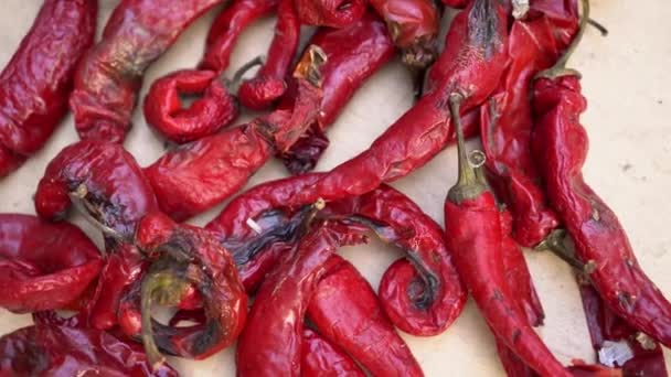 Peperoncino rosso marcio viziato. Perdita e sprechi alimentari nella produzione agricola, nel raccolto o nella distribuzione al dettaglio — Video Stock