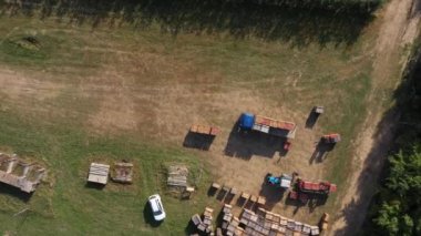 Apple Hasat ve Çiftçilik. Forklift bir kamyona toplanmış meyveleri yüklüyor. Kutulardaki olgun mahsuller sevkiyat için hazırlanıyor. Hava görüntüsü tarımı