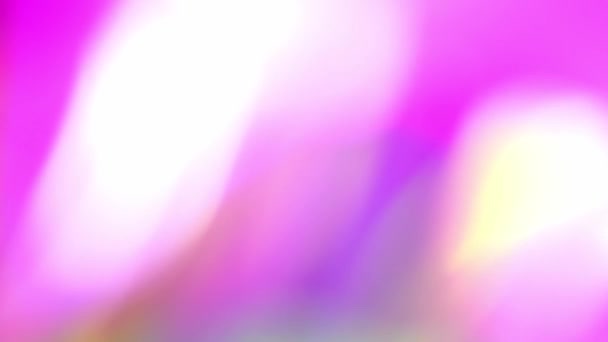 Pastelové holografické růžové a fialové barvy paprsky a glazury. Optické křišťálové hranolové světlice. Abstraktní světelná animace. Duhové světlo světlice pozadí nebo překrytí — Stock video