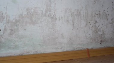Binadaki küf büyümesi. Tavanda, duvarlarda ve perdelerde siyah küf sporları